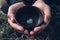 Man hands holding flower in rustic bowl. Herbal tea preparing detail.