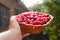 Man hands holding fresh bowl of cherry