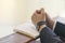 Man hands praying on a holy bible in church for faith concept, Spirituality and Christian religion