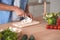 Man hands slicing vegetable for salad at the kitchen, croped shot
