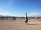 Man Handstanding in the Las Vegas Desert on a clear day