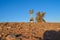 the man has a big stone structure in his hands on a hill