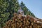 A man has climbed a huge pile of wood.