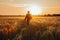 A man in a hat walking through a wheat field. Generative AI image.