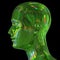 Man head silhouette stylized metallic green glossy reflections