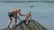 Man helps little son climb on rock in calm ocean at resort