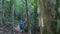 Man hiker jungle trekking in a tropical forest. Beautiful outdoor activity.