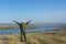 Man hiker raises his hands up next to river against blue sky. Copy space, soft focus. Freedom and travel concept