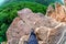 Man hiker steps on edge of mountain rock above precipice with green forest trees underneath. Caucasus mountain summer scenery. Fis