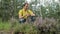 Man hiker walking through the forest and touch smart watch. Yellow T-shirt and jeans with suspenders. Technology in the