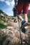 Man hiker walking on mountain rocks with sticks. Beautiful weather with Scotland nature. Detail of hiking boots on the difficult p