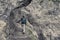 Man hiking on ellmauer halt