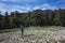 Man hiking out from coniferous forest into an open clearing strewn with stones, Trekking Lycian Way, Trail from Alakilise