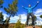 Man hiking reaching summit top cheering in forest