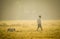 A MAN WITH HIS DOG AT MAIDAN, KOLKATA IN A FOGGY MORNING