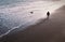 A man and his dog walk along a wet sandy beach leaving foot prints. The dog is in the sea retrieving a stone.
