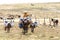 A man with his horse and donkeys in the mountains of Morocco.