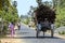 A man and his oxen cart in Sri Lanka.