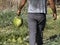 Man holding broken watermelon close up detail