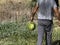 Man holding broken watermelon close up detail