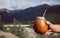 Man holding calabash yerba mate in nature. Travel and adventure concept. Latin American drink yerba mate