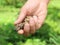 Man holding a coffee luwak