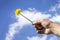 a man holding a dandelion flower to the blue sky