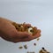 Man holding and dropping from distance of mixed dry fruits isolated on white background