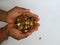 Man holding and dropping from distance of mixed dry fruits isolated on white background