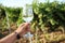 Man holding glass with wine at vineyard, closeup.