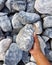 Man holding granite rock