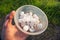 Man holding hailstones after the supercell storm