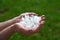 man holding a handful of large hailstones. consequences of natural anomalies