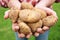 Man Holding Home Grown Jersey Royal Potatoes
