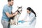 man holding husky and female veterinarian bandaging paw