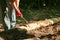 Man holding an industrial ax. Ax in hand.