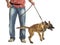 Man holding leash of aggressive Belgian Shepherd