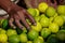 Man holding lemon on hand at street vegetable market