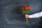 A man holding a red alstroemeria against the background of a chalk board