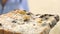 Man holding sliced bread full with fungus and mold