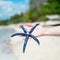 Man holding starfish on perfect tropical white sand beach