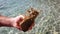 Man holding stone covered with seaweeds