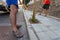 Man holding a water hose and watering a newly plated small tree in the street