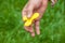 The man is holding a yellow spinner in his hand