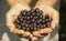 Man holds currants in his hands