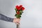 Man holds flowers.Bouquet in the man hand. Flower congratulations for women.Male hand with red roses closeup.Hand with