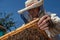 A man holds a frame with bees in his hands. A suit for a beekeeper, a jumpsuit and a mesh cap protection on the head