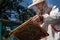 A man holds a frame with bees in his hands. A suit for a beekeeper, a jumpsuit and a mesh cap protection on the head