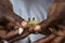 Man Holds Ghost Crab Caught in Cahuita National Park Costa Rica