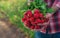 A man holds a harvest radish from the garden in his hands. Selective focus.